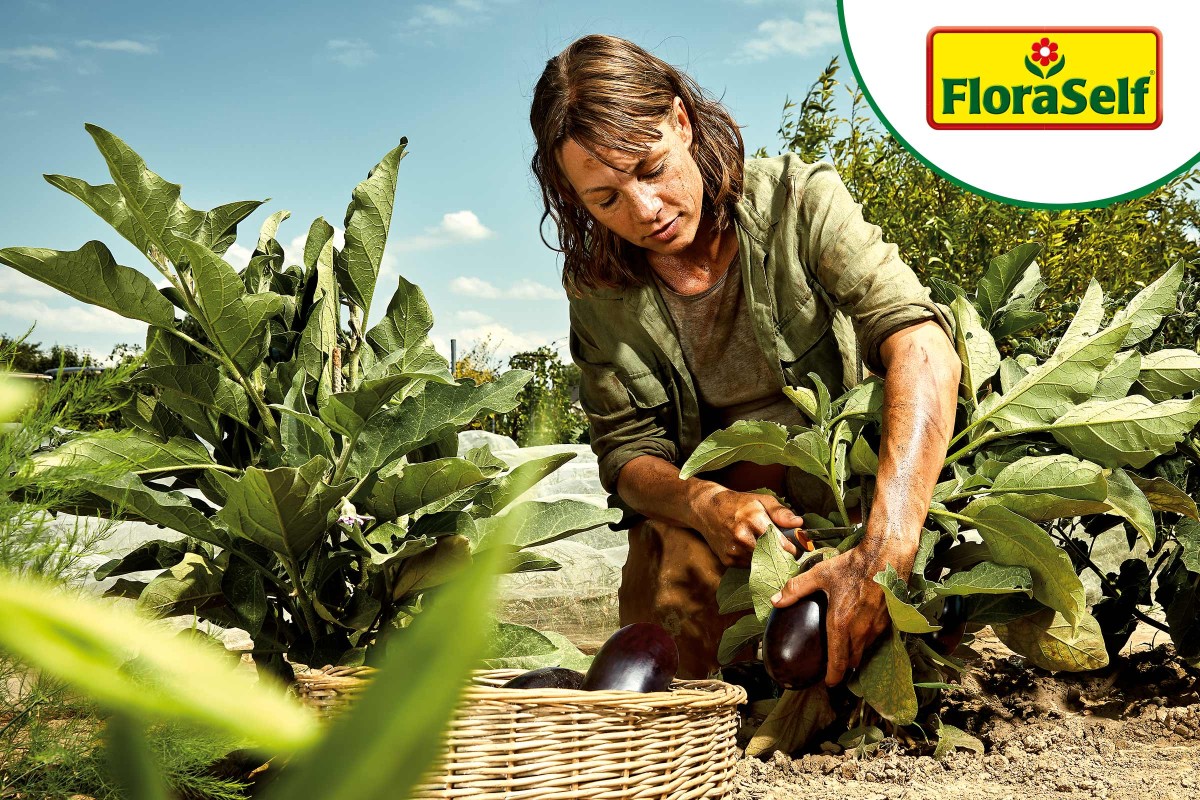 Voorkant -FLORASELF Verkoop 3463