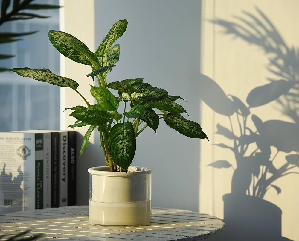 Voorkant -FLORASELF Verkoop 4554