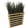 FLORASELF Venijnboom Taxus Baccata H 100-125 Cm 6 St. Ca. 2,5 Meter Haag -FLORASELF Verkoop DV 8 10013308 01 4c DE 20190316211651