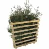 FLORASELF Levensboom Thuja Occidentalis 'Brabant' H 80-100 Cm 12 St. Ca. 5 Meter Haag -FLORASELF Verkoop DV 8 10013327 01 4c DE 20190316211651