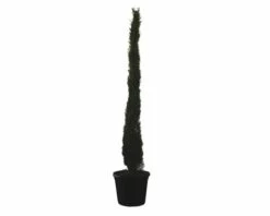 FLORASELF Cypres Cupressus Sempervirens 'Totem' Potmaat Ø 30 Liter H 200-225 Cm