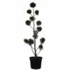 FLORASELF Cypres Cupressocyparis Leylandii Potmaat Ø42 Cm H 150-170 Cm -FLORASELF Verkoop DV 8 10177534 01 4c CH 20191026211702