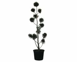 FLORASELF Cypres Cupressocyparis Leylandii Potmaat Ø42 Cm H 150-170 Cm