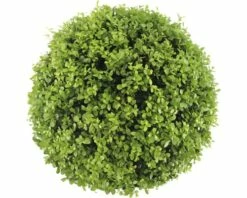 FLORASELF® Japanse Hulst Ilex Crenata 'Glory Gem' Potmaat Ø 31 Cm 5 FLORASELF® Japanse Hulst Ilex Crenata 'Glory Gem' Potmaat Ø 31 Cm -FLORASELF Verkoop DV 8 10219300 02 4c DE 20191206064654