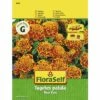 FLORASELF Tagetes Patula Tiger Eyes 2 FLORASELF Tagetes Patula Tiger Eyes -FLORASELF Verkoop DV 8 10320034 01 4c AT 20200730152818