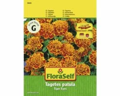 FLORASELF Tagetes Patula Tiger Eyes