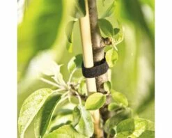 FLORASELF Plantenbinder Klittenband 12 Mm X 5 M -FLORASELF Verkoop DV 8 10356589 01 4c AT 20201113081755