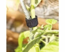 FLORASELF Plantenbinder Klittenband 12 Mm X 5 M -FLORASELF Verkoop DV 8 10356589 02 4c AT 20201113081755