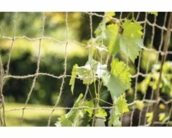 FLORASELF NATURE Jute Klimnet 180x250 Cm -FLORASELF Verkoop DV 8 10356592 03 4c AT 20201111181800