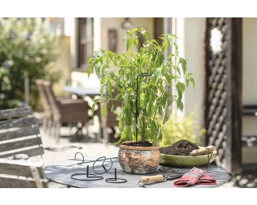 FLORASELF Plantenhouder Groen Ø 7 Cm H 90 Cm 5 FLORASELF Plantenhouder Groen Ø 7 Cm H 90 Cm - Afbeelding 3