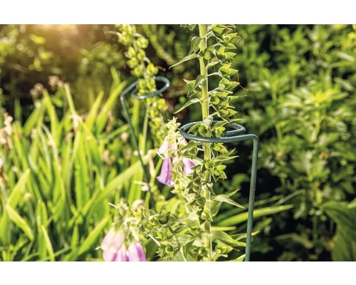 FLORASELF Plantenhouder Groen Ø 7 Cm H 90 Cm 4 FLORASELF Plantenhouder Groen Ø 7 Cm H 90 Cm - Afbeelding 2