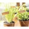 FLORASELF Plantenlabels Koper 10 St. -FLORASELF Verkoop DV 8 10356612 03 4c AT 20220422161657