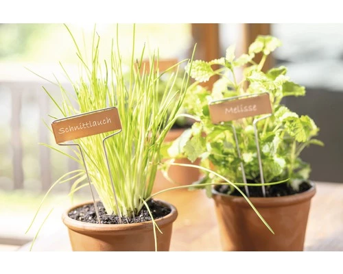 FLORASELF Plantenlabels Koper 10 St. 3 FLORASELF Plantenlabels Koper 10 St.