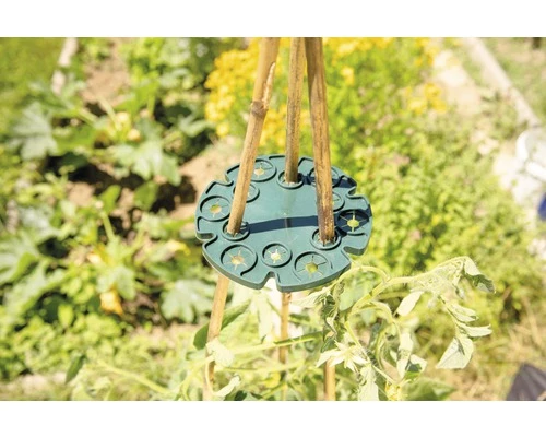 FLORASELF Klimhulp Rond 2 St. 5 FLORASELF Klimhulp Rond 2 St. - Afbeelding 3