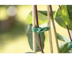 FLORASELF Plantenclips Groen 15 St. -FLORASELF Verkoop DV 8 10356618 03 4c AT 20201112164752