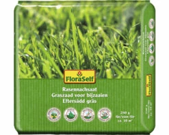 FLORASELF Graszaad Nazaai 240 Gram 9,6 M²