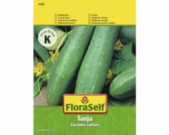 FLORASELF Komkommer Tanja