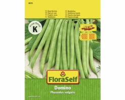 FLORASELF Stamslaboon Domino
