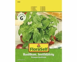 FLORASELF Basilicum Breedbladig