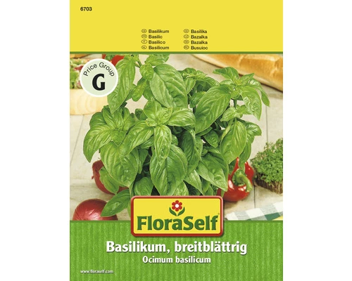 FLORASELF Basilicum Breedbladig 3 FLORASELF Basilicum Breedbladig