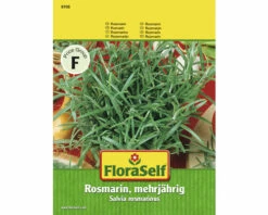 FLORASELF Rozemarijn Meerjarig