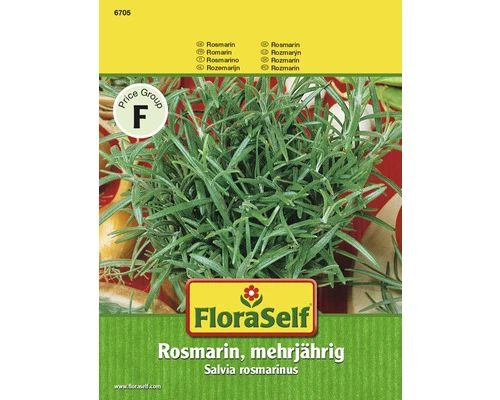 FLORASELF Rozemarijn Meerjarig 3 FLORASELF Rozemarijn Meerjarig