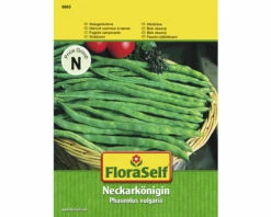 FLORASELF Pronkboon Neckarkönigin