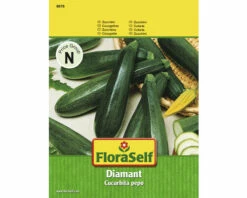 FLORASELF Courgette Diamant Groen