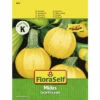FLORASELF Courgette Midas F1 -FLORASELF Verkoop DV 8 10476101 01 4c AT 20220114084650
