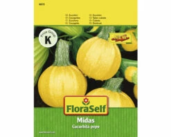FLORASELF Courgette Midas F1