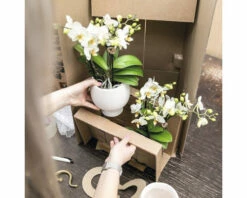 FLORASELF Complete Plantenset Optimism 10 FLORASELF Complete Plantenset Optimism -FLORASELF Verkoop DV 8 10573168 05 4c NL 20220704131655 1