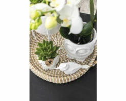 FLORASELF Complete Plantenset Sanctuary -FLORASELF Verkoop DV 8 10573176 03 4c NL 20220704131755