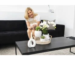 FLORASELF Complete Plantenset Sanctuary -FLORASELF Verkoop DV 8 10573176 05 4c NL 20220704131655