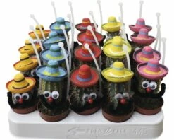 FLORASELF Cactus Potmaat Ø 5,5 Cm H 15-20 Cm