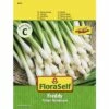 FLORASELF® Zichorie Sla Jupiter -FLORASELF Verkoop DV 8 4636076 01 4c AT 20181228141835