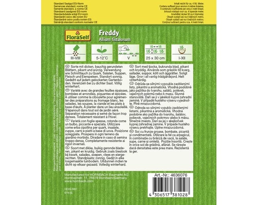 FLORASELF® Zichorie Sla Jupiter 4 FLORASELF® Zichorie Sla Jupiter - Afbeelding 2