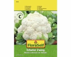 FLORASELF® Bloemkool Dwerg Groentezaden