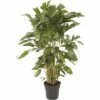 FLORASELF Caryota Palm Ø27 Cm H125 Cm 2 FLORASELF Caryota Palm Ø27 Cm H125 Cm -FLORASELF Verkoop DV 8 6157203 01 4c CH 20200204131659