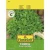 FLORASELF Kruidenzaden Basilicum, Fijnbladig Eenjarig