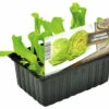 FLORASELF IJsbergsla Lactuca Sativa H 3-5 Cm Set 6 St -FLORASELF Verkoop DV 8 6334478 01 4c NL 20210317161655