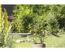 FLORASELF® Tomaten Ranktoren 150x30 Cm -FLORASELF Verkoop DV 8 6425352 03 4c AT 20210609104650