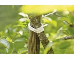 FLORASELF® Touw Sisal 250gr 60m -FLORASELF Verkoop DV 8 6425391 01 4c DE 20180118173256