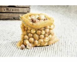 FLORASELF® Zak 50x80 Cm10 St -FLORASELF Verkoop DV 8 6425395 01 4c DE 20180310011659 1