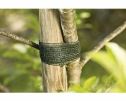 FLORASELF® Bindstrip Voor Bomen 3 M Groen
