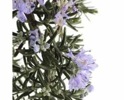 Voorkant -FLORASELF Verkoop DV 8 6502797 02 4c NL 20171031135857