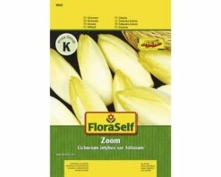 FLORASELF® Witlof Zoom