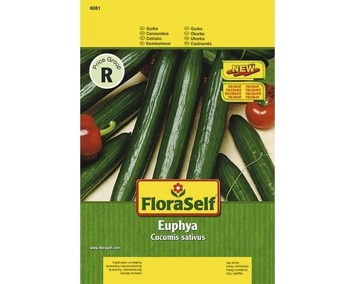 FLORASELF® Augurk Euphya 3 FLORASELF® Augurk Euphya