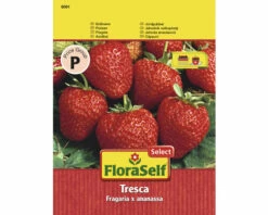 FLORASELF® Aardbeien "Fresca" Groentezaden