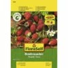 FLORASELF® Aardbei Bowlenz -FLORASELF Verkoop DV 8 6568208 03 4c DE 20180111183250