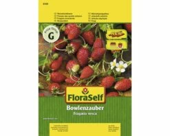 FLORASELF® Aardbei Bowlenz